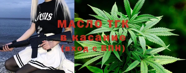 хмурый Арсеньев