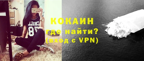 хмурый Арсеньев