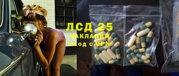 хмурый Арсеньев